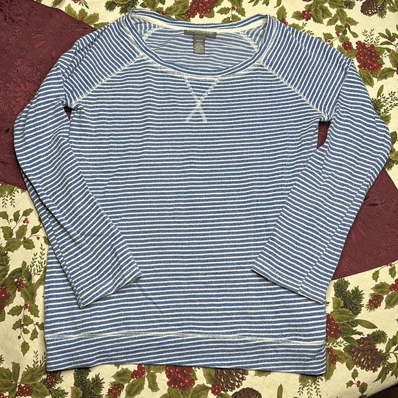 A Pea in the Pod Maternity knit crewneck royal blue & white striped Size M - Picture 1 of 7